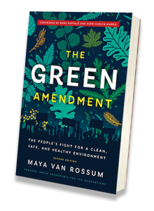 The Green Amendment Book